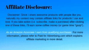 alt="affiliate disclosure with I"/>