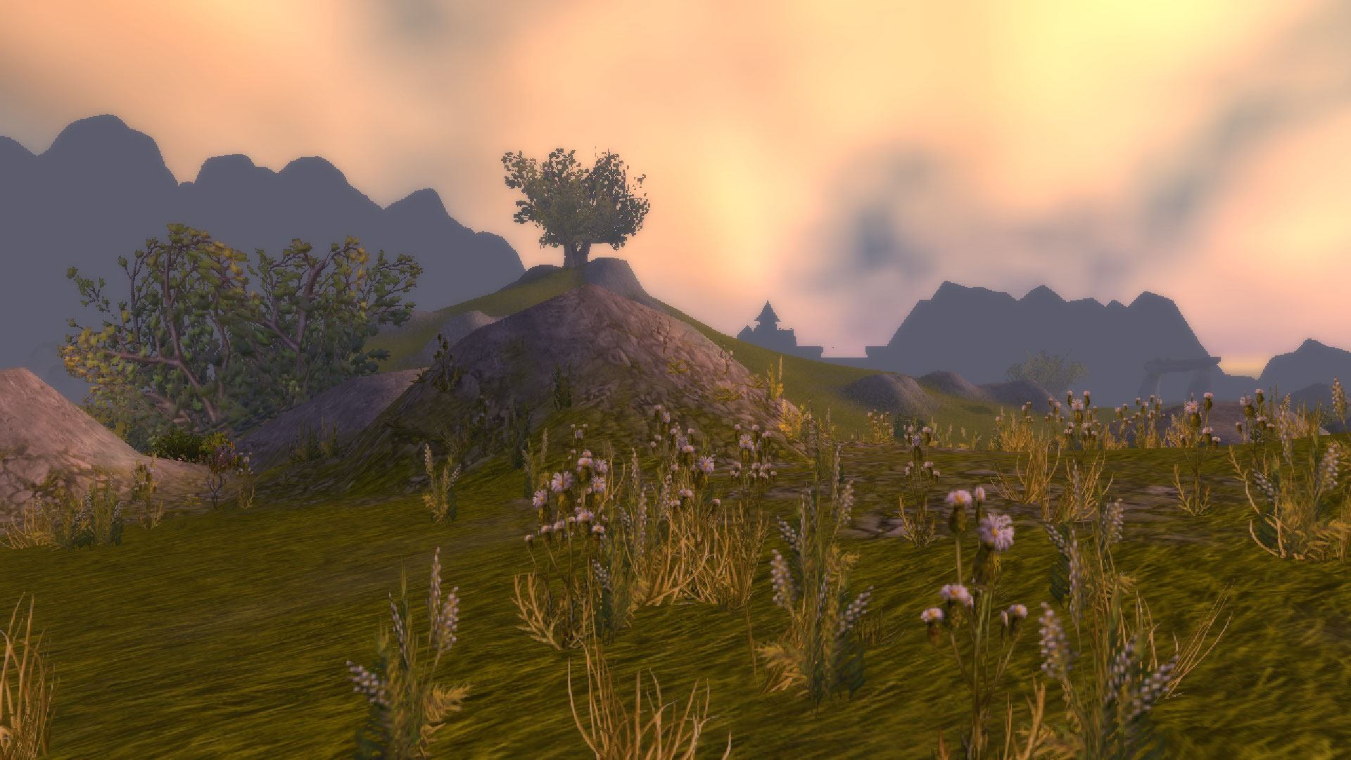 alt="wow classic servers ama and answered questions - arathi highlands"/>