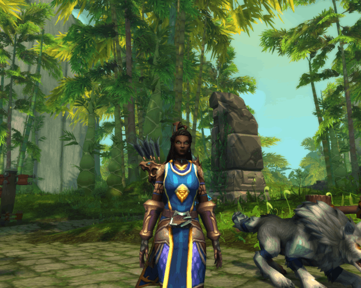 alt="shadowlands customization options"/>